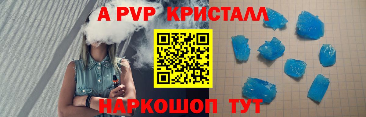 A PVP СК КРИС Нефтекумск