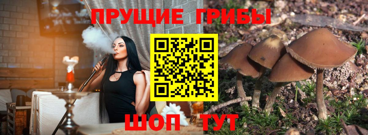Галлюциногенные грибы Magic Shrooms  Вход с VPN  Нефтекумск 